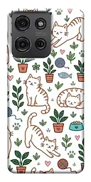 TPU чохол Demsky Cats pattern для Motorola Moto G75 5G