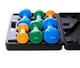 Набір гантелей в кейсі 12 кг. PowerPlay 4118 Fitness Dumbells (2 шт*1 кг, 2 шт*2 кг, 2 шт*3 кг) (PP_4118_12kg) - мініатюра 2