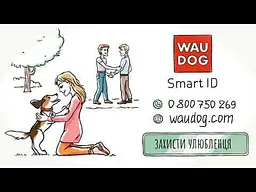 Нашийник для собак Waudog Nylon з QR паспортом Тінь Бетмена р.M 20 мм 28-40 см (281-1078) - мініатюра 13