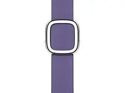 Ремінець Apple Wisteria Modern Buckle Medium (ML7A3) для Watch 40/41mm