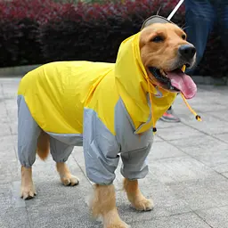 Комбінезон-дощовик для собак Derby R62 Yellow 2XL - мініатюра 5