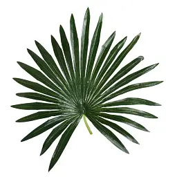Штучна рослина Engard Fan Palm 120 см (DW-27) - мініатюра 4