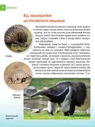 Енциклопедія для допитливих А5 : Хижаки (Українська, 01 КРЕЙДОВАНИЙ ) - Андрій Гапченко - мініатюра 6