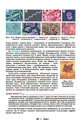 Біологія і екологія 10 клас - мініатюра 3