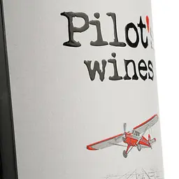 Вино Pilot’s Wines Odesa Black червоне сухе 0.75 л - мініатюра 6