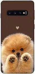 TPU чохол Demsky Spitz on the screen для Samsung Galaxy S10
