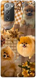 TPU чохол Demsky Spitz aethtetic для Samsung Galaxy Note 20