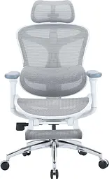 Офісне крісло Sihoo DORO C300L Mesh White with footrest (DORO-C300L-A3-102-JT) - мініатюра 1