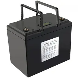 Батарея LiFePo4 Liitokala LiFePO4 12V-100Ah LCD (12V 100Ah LiFePO4 LCD) - мініатюра 2