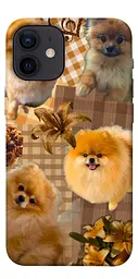 TPU чохол Demsky Spitz aethtetic для Apple iPhone 12 mini (5.4")