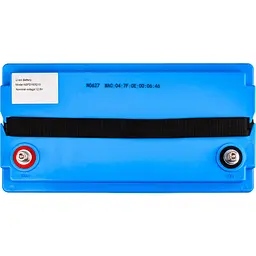 Акумуляторна батарея Volt Polska LiFePO4 12.8V 100Ah 100А + BMS + Bluetooth - мініатюра 5