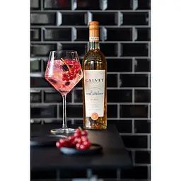 Вино Calvet French Wine Aperitif біле 17% 0.75 л - мініатюра 2