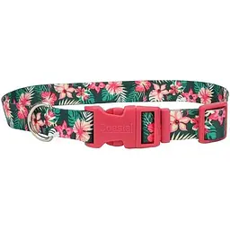Нашийник для собак Coastal Pet Attire Style