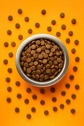 Сухий корм BuddyFood для котів з лососем та гарбузом 5кг  - мініатюра 2