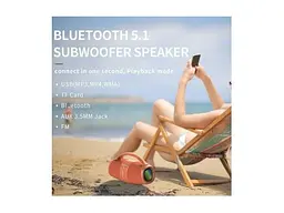 Портативная колонка Hopestar H60 Blue - миниатюра 2
