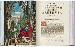 J. C. Volkamer. The Book of Citrus Fruits. 45th Edition - мініатюра 6