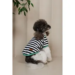 Футболка Pet Fashion Breeze для собак XХS - мініатюра 5