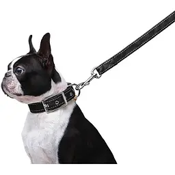 Повідець Dog Extreme з нейлону подвійний (ширина 20мм, довжина 122см), чорний - мініатюра 4