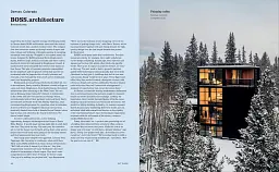 Out There: New Architecture Across America - Robert Ivy - мініатюра 4