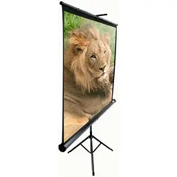 Проекційний екран ELITE SCREENS T119NWS1 213Х213