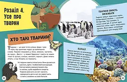 Енциклопедія юних розумників Ранок Допитливим сюди. ДОВКОЛАПИТАНЬ - Ненсі Дікман (НЕ1745007У) - мініатюра 9