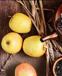 Саджанець Agro-Market Яблуня Голд Раш (зимовий сорт, пізній термін дозрівання) (25648) 1 шт. в упаковці - мініатюра 4