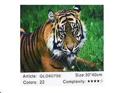 Алмазна мозаїка за номерами Тигр 60756, 30x40 см