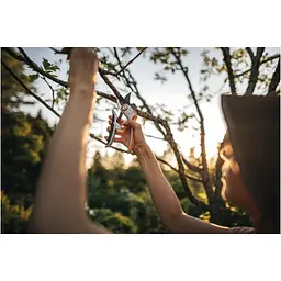 Площинний секатор Fiskars Plus P751 суцільнометалевий (1057172) - мініатюра 2