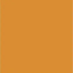 Папір для дизайну Folia Fotokarton A4 (21x29.7см) №17 Охра 300г/м2