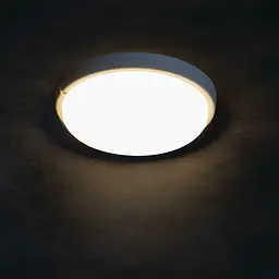 Світильник Miledo Tolu O LED 9W-NW-W герметичний (31497) - мініатюра 4