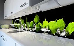 Вініловий кухонний фартух Зелене листя берези наклейка для кухні ПВХ Рослини Чорний Happy Pocket Z181593