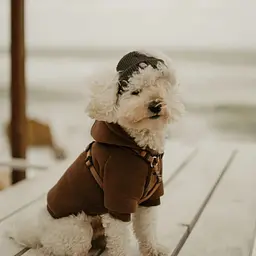 Шапка для собак Hat-Dog хакі (XL) - мініатюра 3