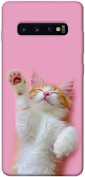Чохол Demsky Сat chill для Samsung Galaxy S10+