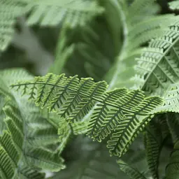 Штучна гілка Engard Persian fern 65 cм (AV-01) - мініатюра 5