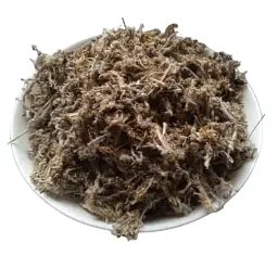 Сушениця болотна Трава Сухоцвіт Волошки Товстушка Gnaphalium uliginosum