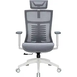 Офісне крісло OfficePro Balance OC620-W-DG-DG White/Dark Gray [148659]