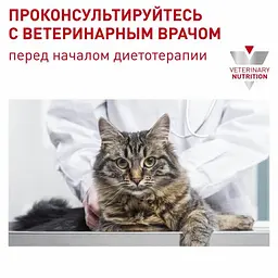 Консервований корм для дорослих котів Royal Canin Neutered Maintenance з моменту стерилізації до 7 років, 85 г (40890019) - мініатюра 5