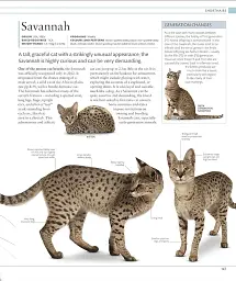 The Cat Encyclopedia - мініатюра 7
