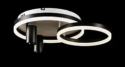 Люстра стельова LED Splendid Ray L2464/550/2+2, 4 лампи, білий/чорний, димер, сучасний стиль - мініатюра 5