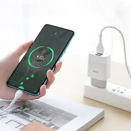 Мережевий зарядний пристрій Hoco C73A 2 USB білий + кабель USB to Type-C