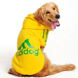 Толстовка для собак "ADIDOG" жовтий 4 Multibrand zoo0005746