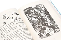 Країна Мумі-тролів. Книга 3 — Туве Янссон