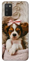 TPU чохол Demsky Sleepy spaniel для Samsung Galaxy A03s