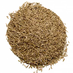 Насіння газонної трави універсальної Green Seeds 1кг - мініатюра 4