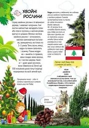 Все про все. Велика енциклопедія молодшого школяра - Яна Батій - мініатюра 6