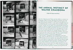 Walter Chandoha. Cats. Photographs 1942-2018 - мініатюра 2