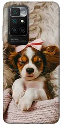 TPU чохол Demsky Sleepy spaniel для Xiaomi Redmi 10