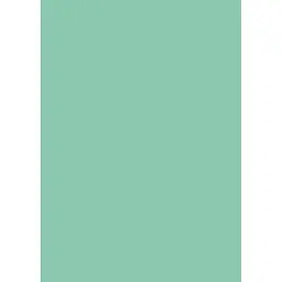 Папір для дизайну Folia Tintedpaper В2 (50x70см) №25 зелено-м'ятний 130г/м без текстури