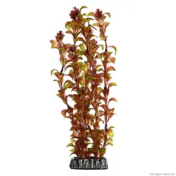 Штучна рослина Hobby Rotala 30см (41518)