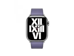 Ремінець Apple Wisteria Modern Buckle Medium (ML7A3) для Watch 40/41mm - мініатюра 3